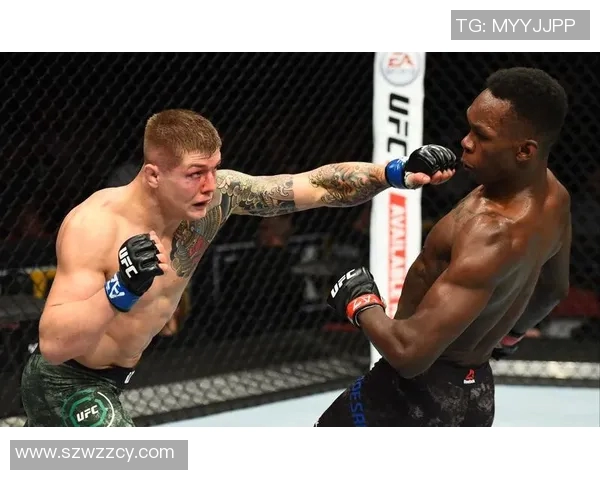 UFC巴埃萨对决精彩回顾与未来战斗展望分析