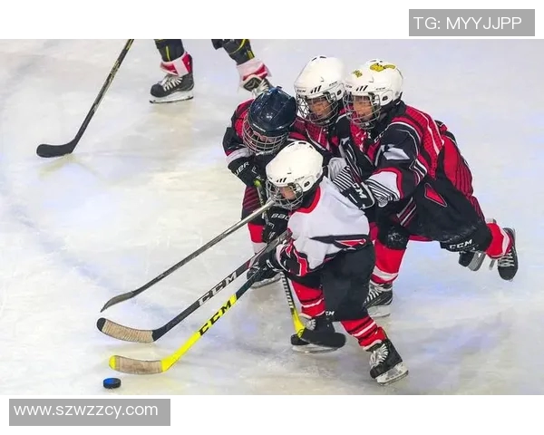 洛杉矶国王与达拉斯星的激烈对决揭示冰球赛季新篇章