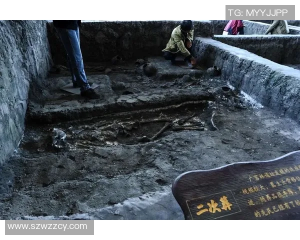 苏维埃与莫路军的对抗与较量：历史的回顾与未来的启示